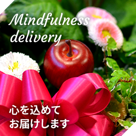 Mindfulnessdelivery